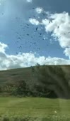 359x612