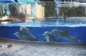 360x238