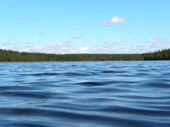 480x360