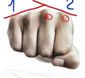 524x484