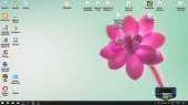 1366x768
