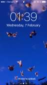 640x1136