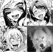 480x478