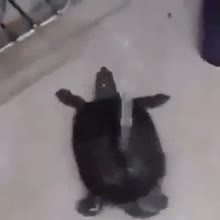 360x360