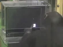 320x240
