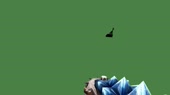 640x360