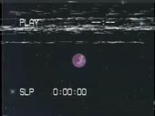 480x360