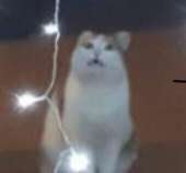 340x317