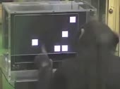 320x240