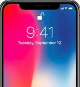 242x263