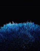 640x800