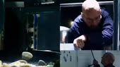400x225