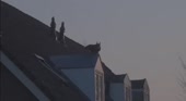 320x176