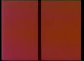 352x256