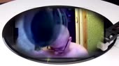 640x360