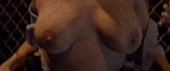 720x304