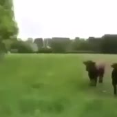 360x360