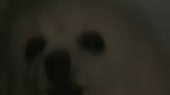 480x270