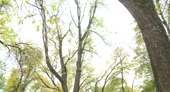 800x436
