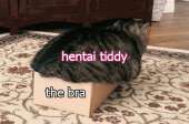 450x298