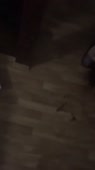 720x1280