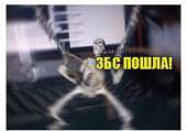 492x345