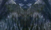 600x360