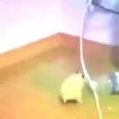 360x360