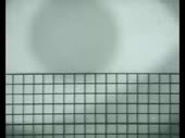 320x240