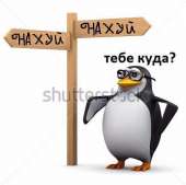 448x446