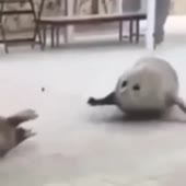 360x360