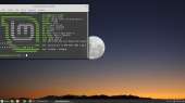 1366x768