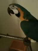 270x360