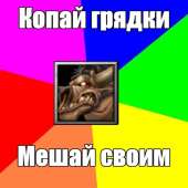 600x600