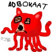 300x300