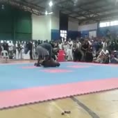 360x360