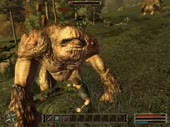 480x360