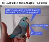 1250x1080