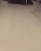 288x360