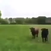 360x360