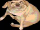 480x360