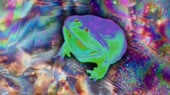 640x360