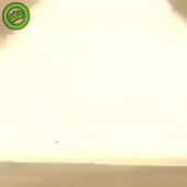 360x360
