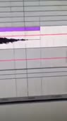 202x360