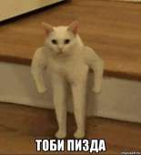 530x580