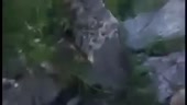 400x226