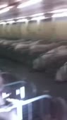 202x360