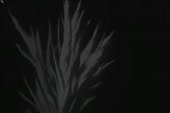 540x360