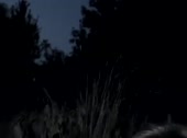 484x360