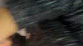 500x282